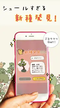 女子に人気ゲーム 『盆栽あつめ 』 Screen Shot 3