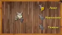 Кошки-Мышки 2 Screen Shot 5