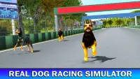 Pet Dog Run Simulator - Greyhound Racing Game Screen Shot 0