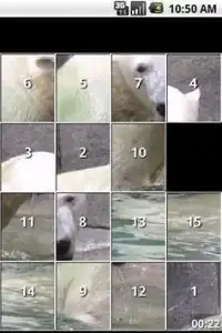 Polar Bears iSlider puzzles Screen Shot 0
