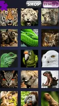 Jungle Animaux Puzzles Screen Shot 0