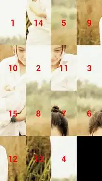 Puzzle Photo (15 puzzle) Screen Shot 1