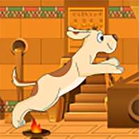 Dog Rush : Funny Dog running in ancient Egypt