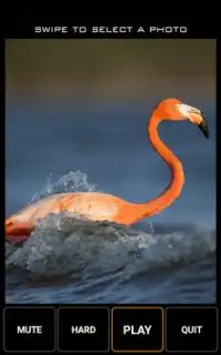 Pink Flamingo Jigsaw Puzzle Game Screen Shot 5