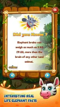 Jungle Rush Screen Shot 3