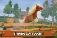 Mein kleines Pony! Pferdespiel Screen Shot 0