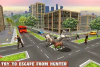 Virtual Horse Family Wild Adventure Screen Shot 11