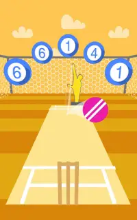 Cricket Practice Screen Shot 7