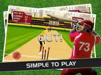 Play Cricket Matches Screen Shot 2