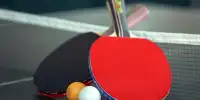 Table tennis theme Screen Shot 1