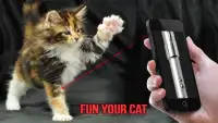Laser Pointer for Cat FREE Screen Shot 2