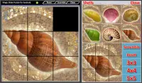 Magic Slide Puzzle Shells Screen Shot 7