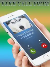Fake Call from Siberian husky dog Screen Shot 3