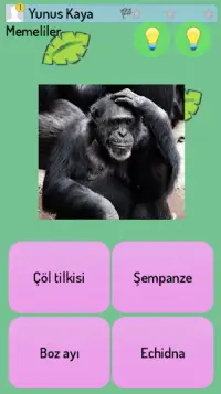Hayvan Krallığı Quiz Screen Shot 3