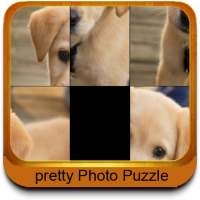 Puzzle Fun Fotos
