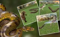 Wild Anaconda Snake Attack Sim Screen Shot 5