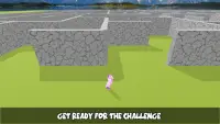 Pony Horse Maze Run Simulator 3D Screen Shot 3