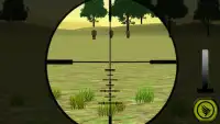 Wild Lion Hunting Sniper 3D Screen Shot 0