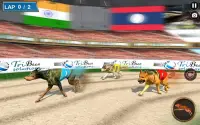 রিয়েল কুকুর রেসিং প্রতিযোগিতার Screen Shot 8