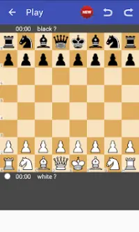 Chess Free, Chess 4D Screen Shot 2