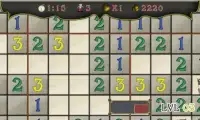 ToruSweep - Pirate Minesweeper Screen Shot 2