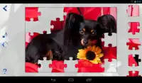 Jigsaw Puzzles Dogs Screen Shot 7