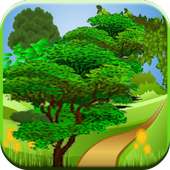 Tree Game for Kids