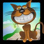 Crazy Cats - Kitty World Surf