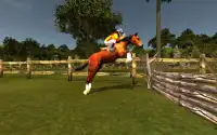 Show Jumping Two Country Race Screen Shot 4