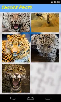 Leopard Jigsaw Puzzle Screen Shot 2