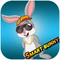 Smart Bunny