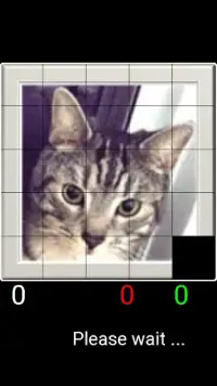 Sliding Puzzles Screen Shot 4