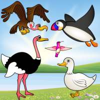 Birds Game for Toddlers Puzzle