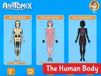 Anatomix - Human Anatomy Screen Shot 8