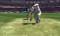 Cricket 2019 Screen Shot 0
