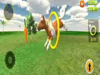 Pony Horse Simulator 3D Kids Screen Shot 16