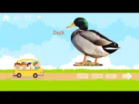 100 Animals and Birds for kids Screen Shot 21