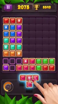 Block Puzzle : Star Gem Screen Shot 6