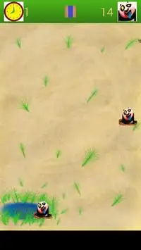 Tap Panda Screen Shot 3