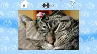 Cats Jigsaw Puzzles for Kids Screen Shot 6