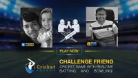 Cricket Multiplayer Screen Shot 4