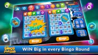 Best Bingo Players-World Cards Screen Shot 7