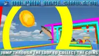 Dolphin Race Simulator Screen Shot 1