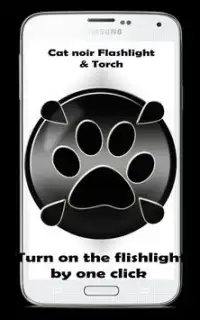 Miraculous Flashlight and torch Cat noir Screen Shot 0