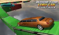 RoofTop Limo Car Stunt Ride Screen Shot 5