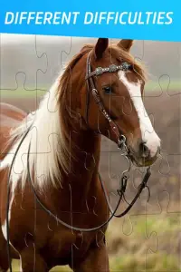 Pony Puzzles: Pony and Horse Jigsaw Puzzles Screen Shot 1