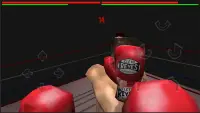 Boxing Game Screen Shot 4