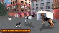 Husky Dog gry na zwierzętach Screen Shot 5