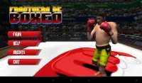 3D boxing game Screen Shot 6