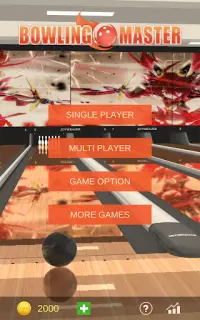 Bowling Master Realistic 3D Game Screen Shot 4